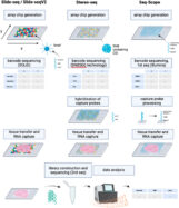 Articol: Multiplexed spatial transcriptomics methods and the application of expansion microscopy