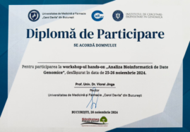 Diplome workshopuri